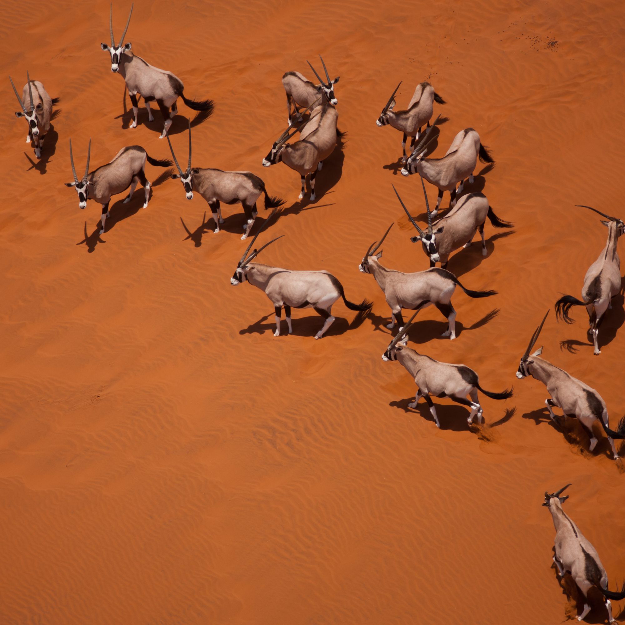 Photo of NAMIBIË GROEP 1 - LAATSTE KAMER